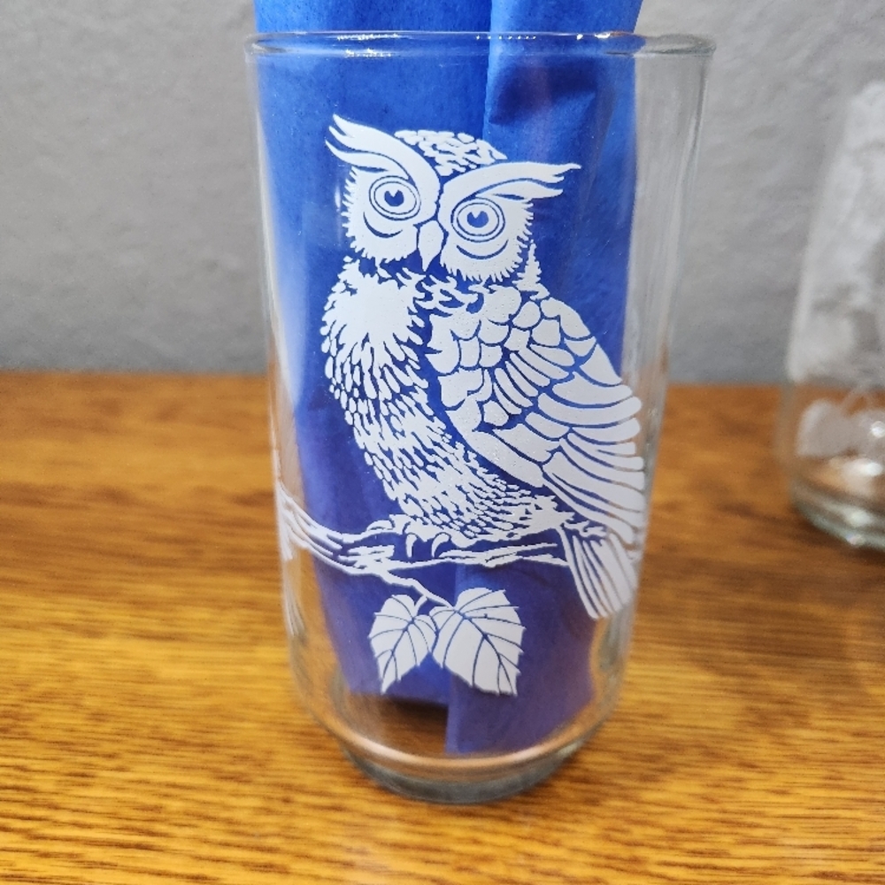 Libbey White Owls Clear Tumbler Drinking Glasses Set of 4
